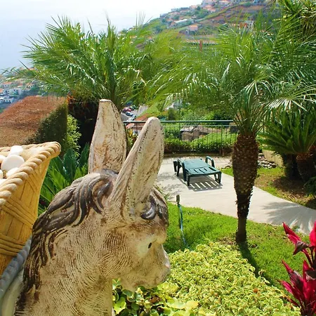 Semesterbostad Ourmadeira - Moradia Da Falesia, Panoramic Views Câmara de Lobos